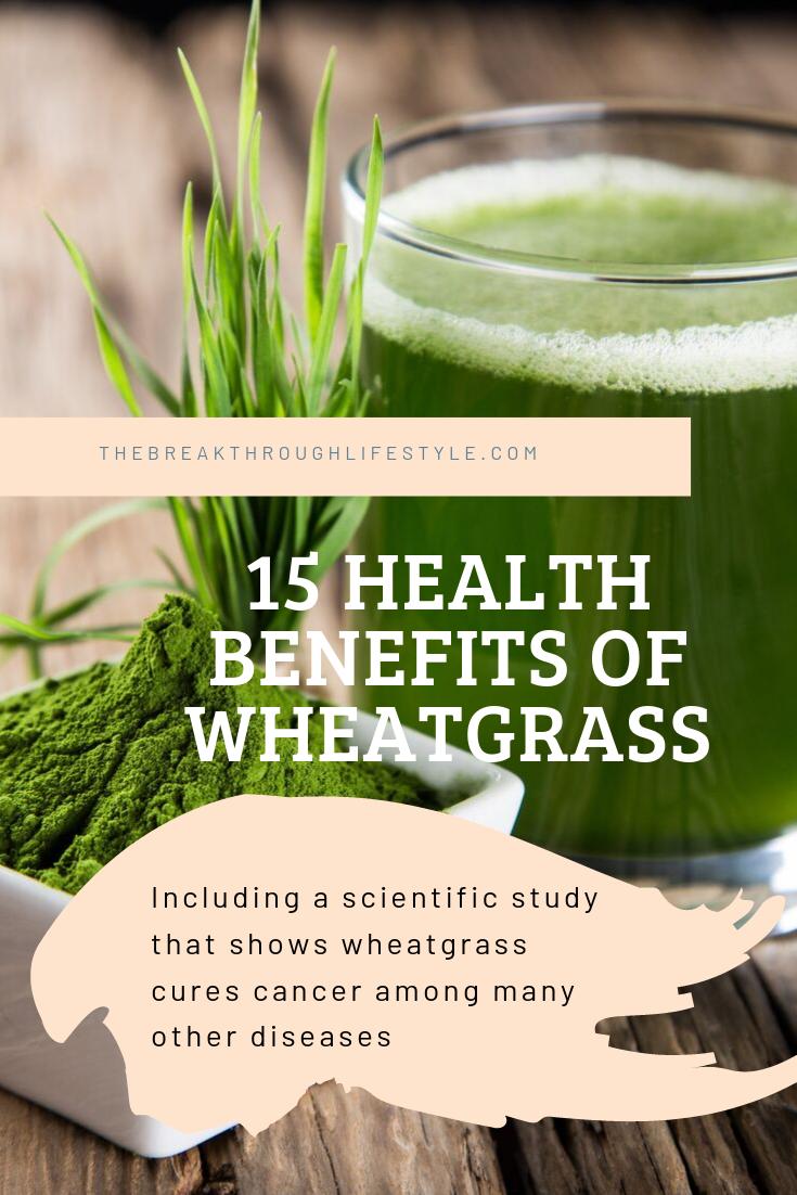 Why Wheatgrass Is Good For You The Breakthrough Lifestyle