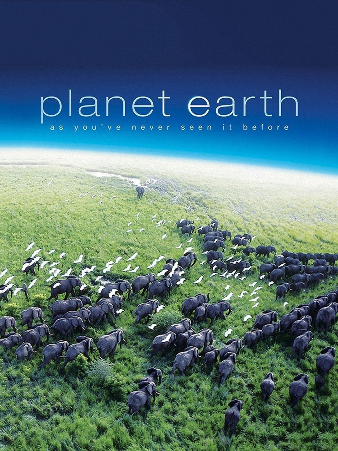 planet earth netflix 2020