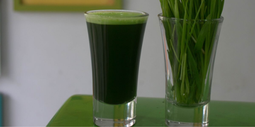 Why Wheatgrass is good for you
