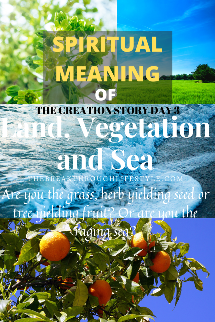 Land Sea Vegetation Creation Story Day 3